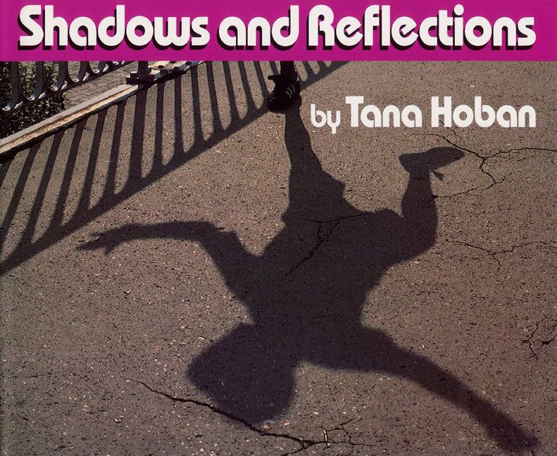 Shadows and Reflections-Children’s / Teenage general interest: History and Warfare-買書書 BuyBookBook