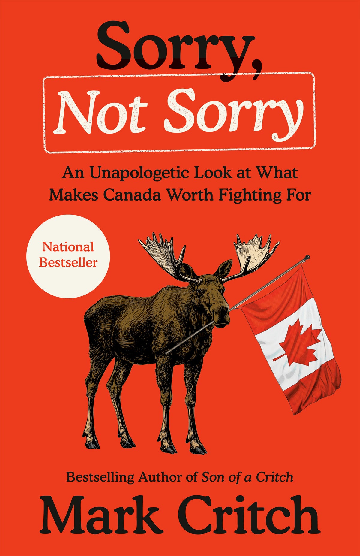 Sorry, Not Sorry cover (ISBN 9780735249561)
