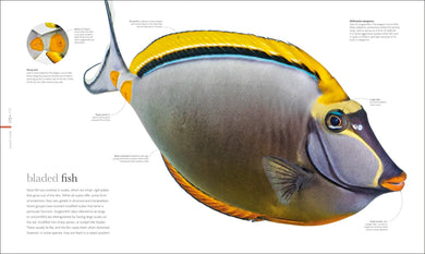 Oceanology US - Hardback