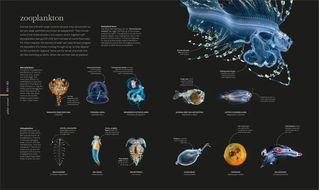Oceanology US - Hardback