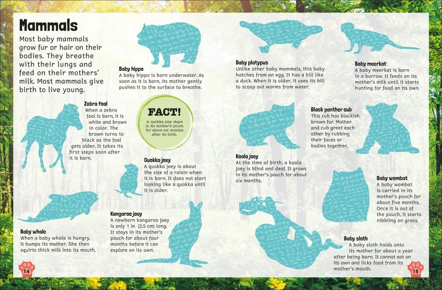 Sticker Encyclopedia Baby Animals US - Paperback / softback