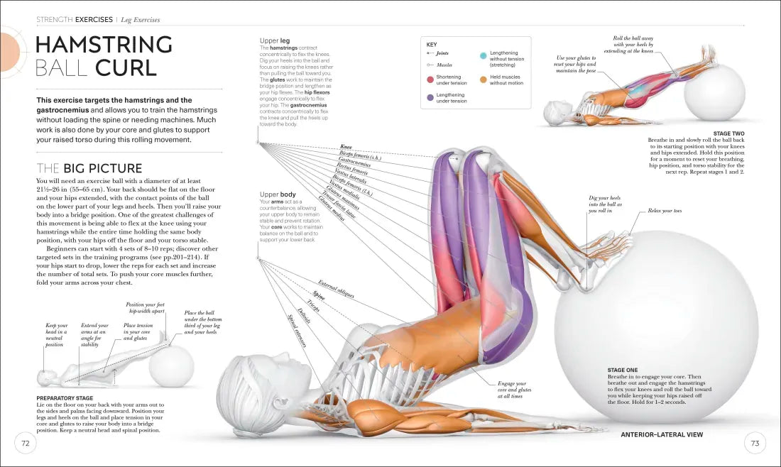 Science of Strength Training US - Paperback / softback