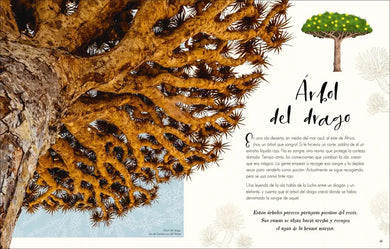 Maravillas naturales (The Wonders of Nature) US - Hardback