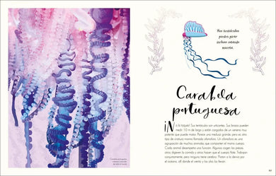 Maravillas naturales (The Wonders of Nature) US - Hardback
