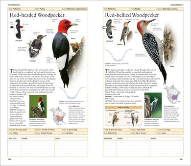 AMNH Birds of North America Eastern US - Book