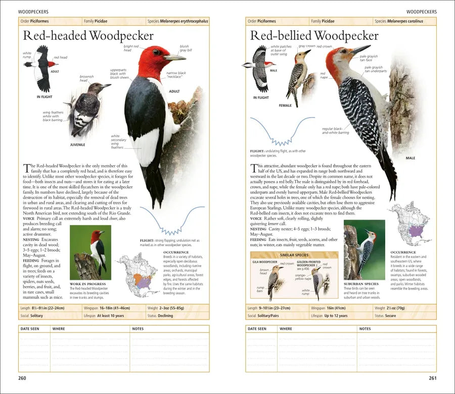AMNH Birds of North America Eastern US - Book