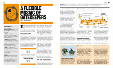 The Biology Book US - Hardback