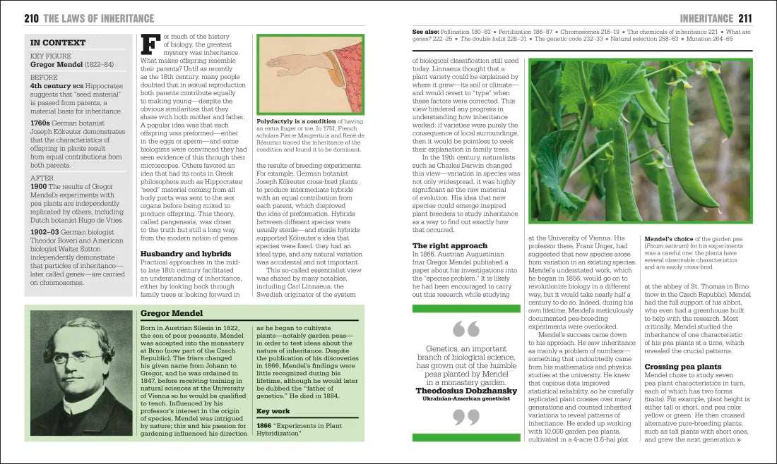 The Biology Book US - Hardback