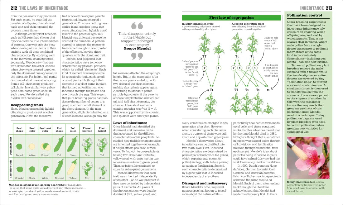 The Biology Book US - Hardback