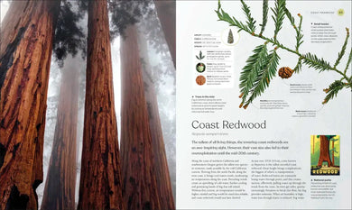The Tree Book US - Hardback