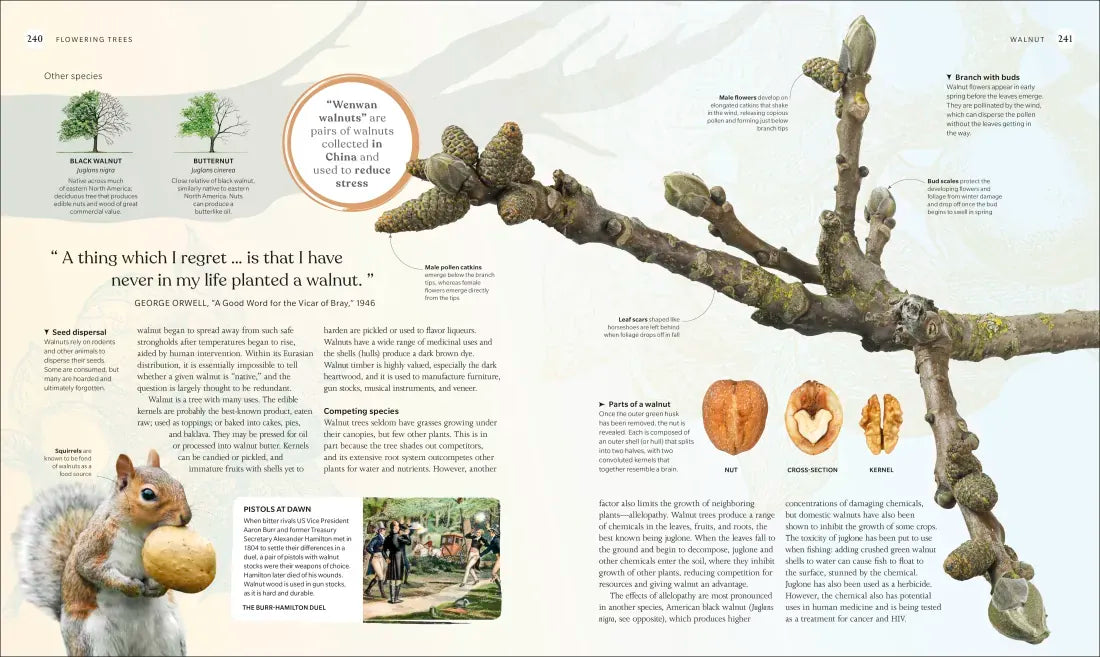 The Tree Book US - Hardback