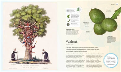 The Tree Book US - Hardback