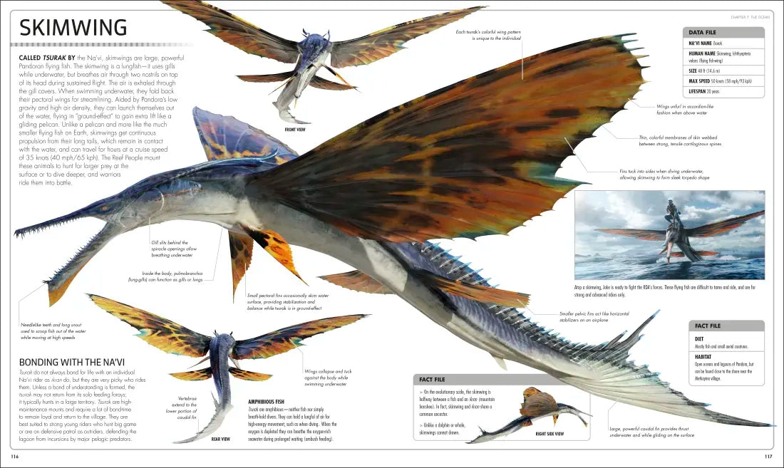 Avatar The Way of Water The Visual Dictionary US - Hardback
