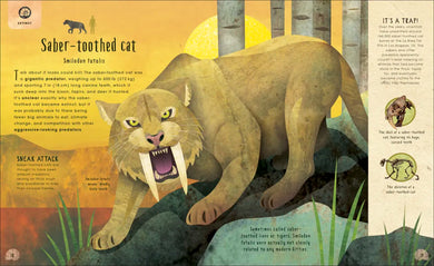 Animals Lost and Found US - Hardback
