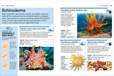 Pocket Genius Ocean US - Paperback / softback