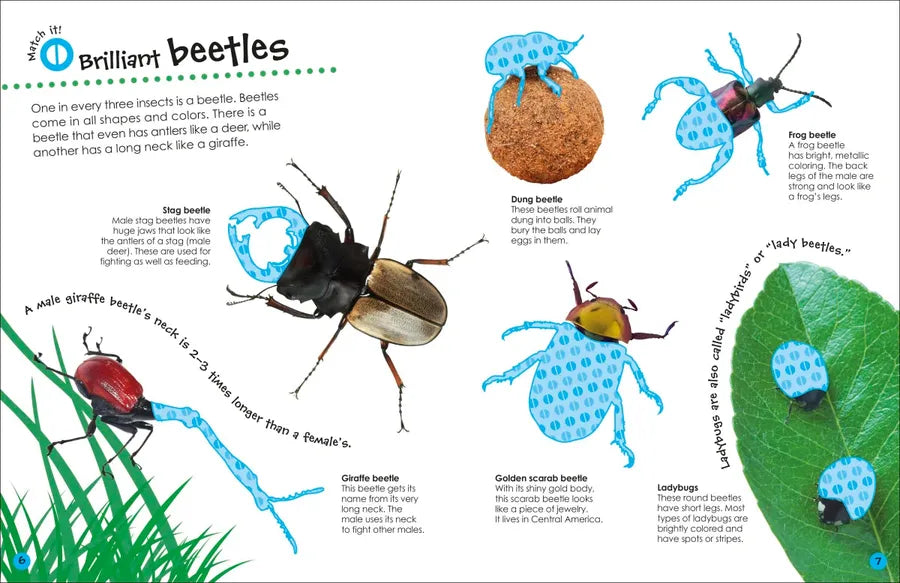 The Ultimate Sticker Book Bugs US - Paperback / softback