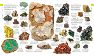 Natural History US - Hardback