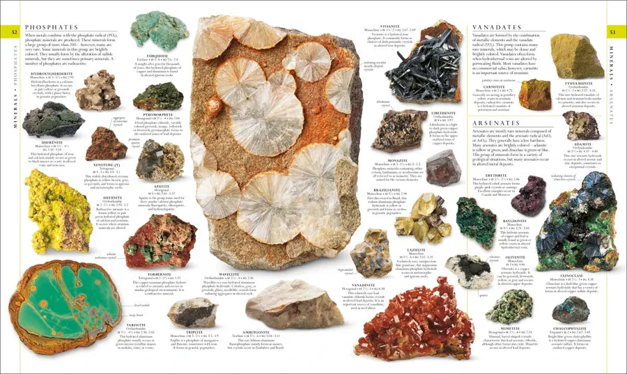Natural History US - Hardback
