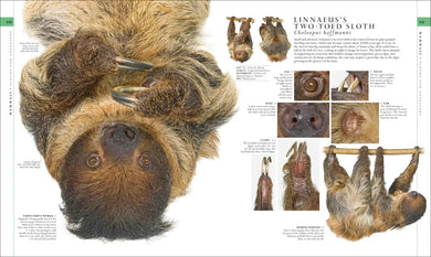 Natural History US - Hardback