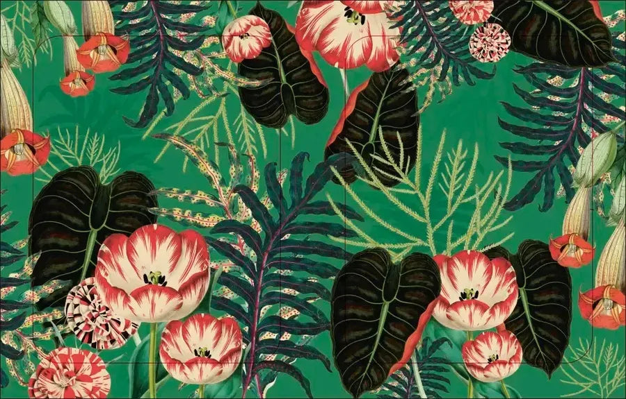The Botanist's Sticker Anthology US - Hardback