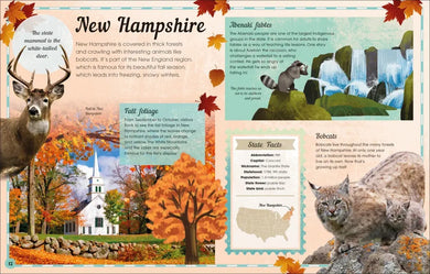 The 50 States US - Hardback