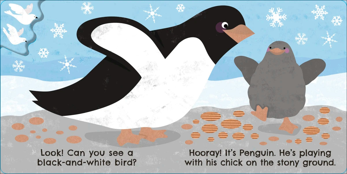 Eco Baby Where Are You Penguin? US - Board book