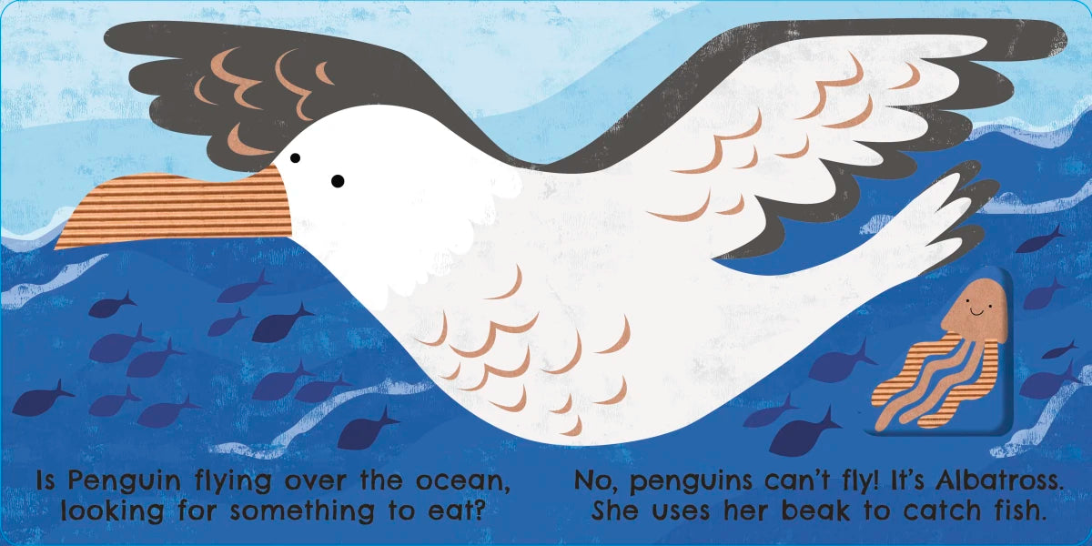 Eco Baby Where Are You Penguin? US - Board book