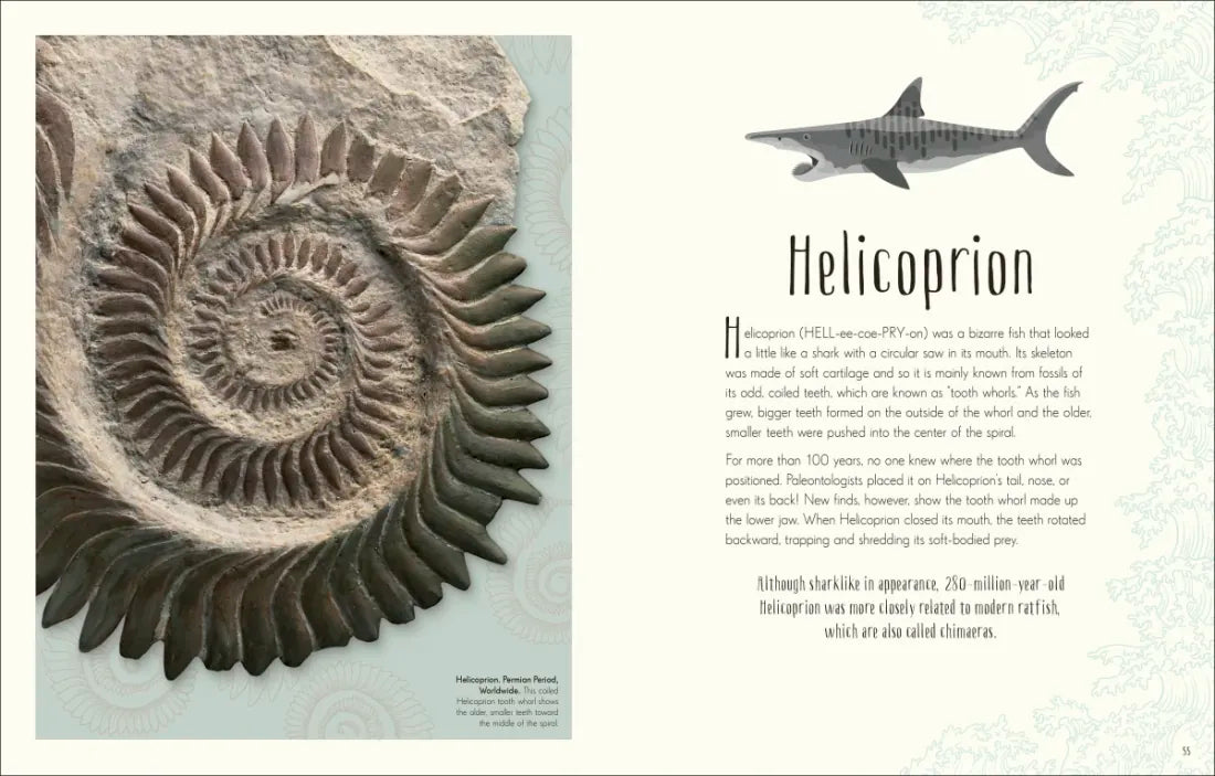 Dinosaurs and Other Prehistoric Life US - Hardback