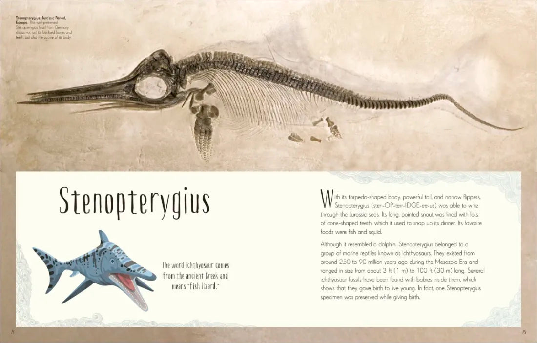 Dinosaurs and Other Prehistoric Life US - Hardback