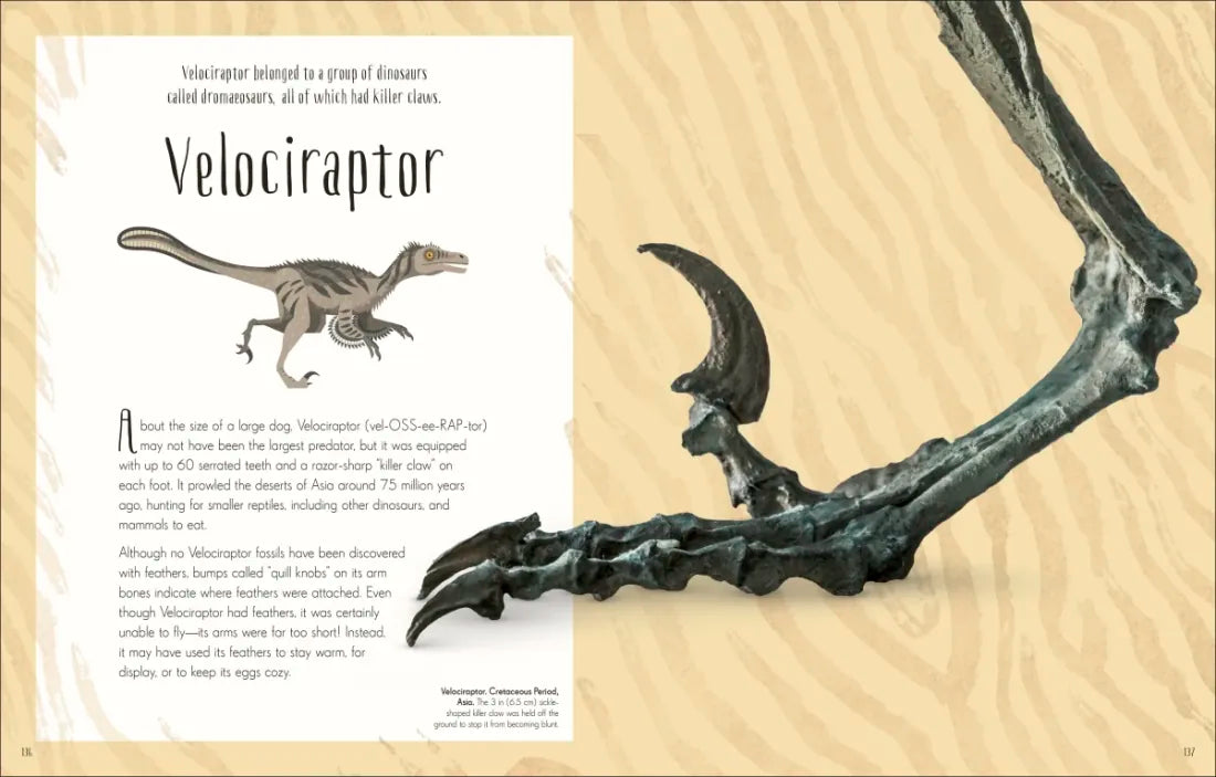 Dinosaurs and Other Prehistoric Life US - Hardback