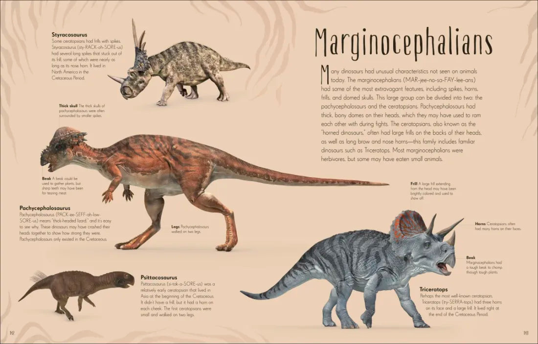 Dinosaurs and Other Prehistoric Life US - Hardback
