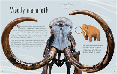 Dinosaurs and Other Prehistoric Life US - Hardback