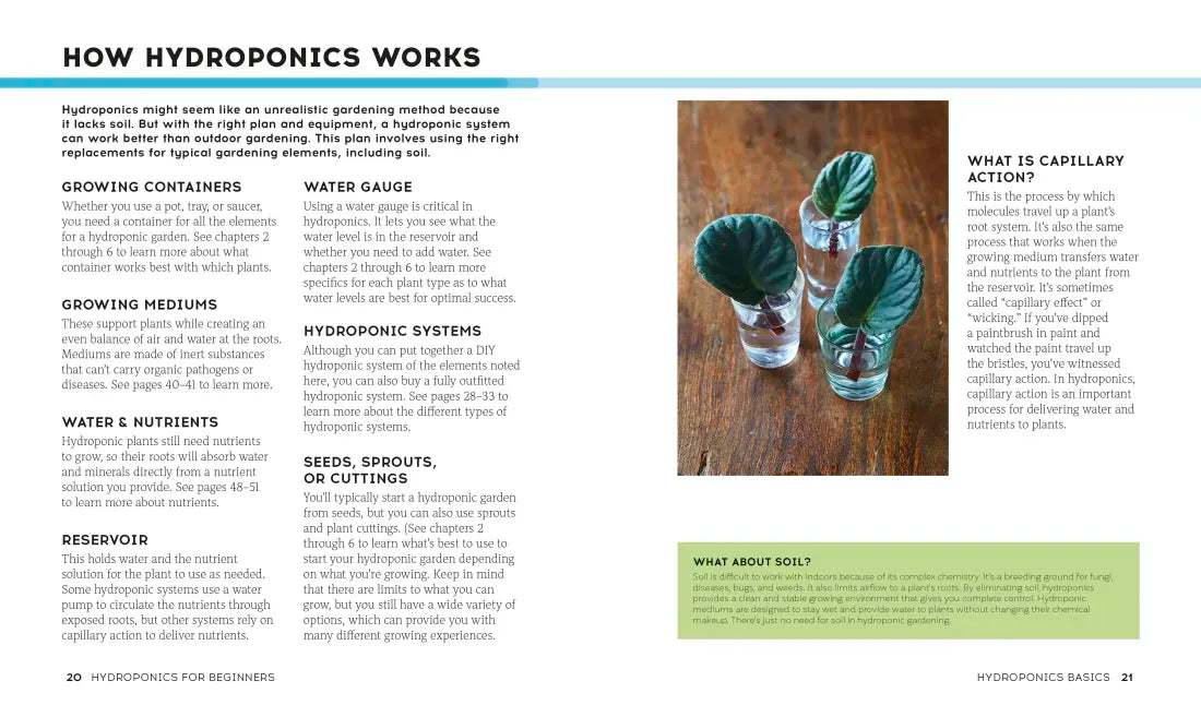 Hydroponics for Beginners US - Paperback / softback