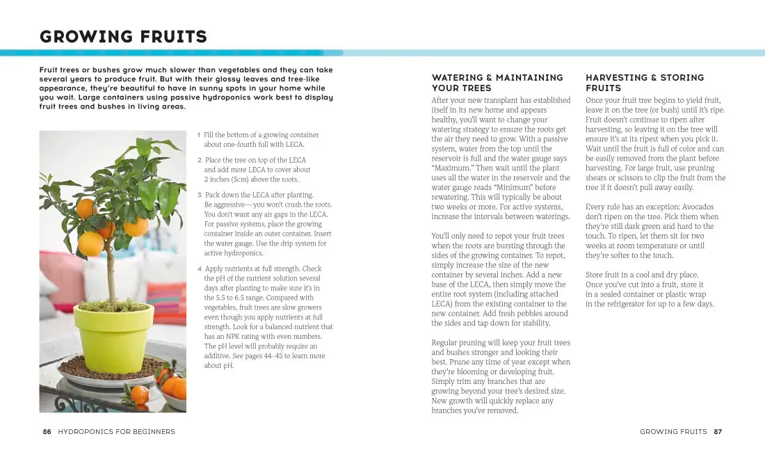 Hydroponics for Beginners US - Paperback / softback