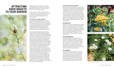 Companion Planting for Beginners US - Paperback / softback
