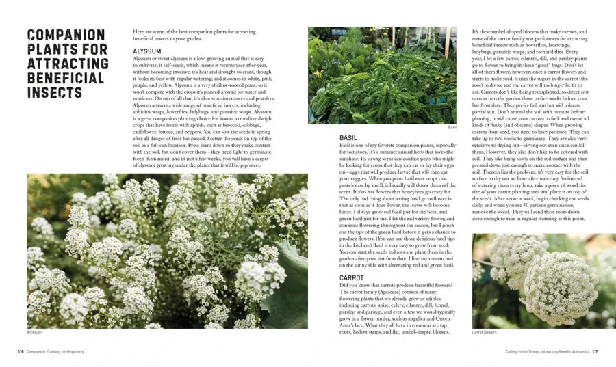 Companion Planting for Beginners US - Paperback / softback