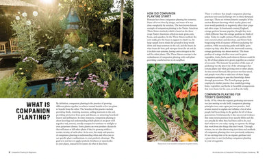 Companion Planting for Beginners US - Paperback / softback