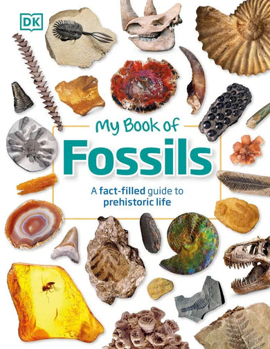 My Book of Fossils-Children’s / Teenage general interest: Science and technology-買書書 BuyBookBook