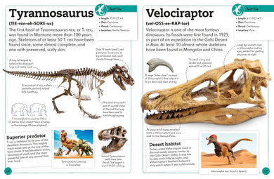 My Book of Fossils US - Hardback