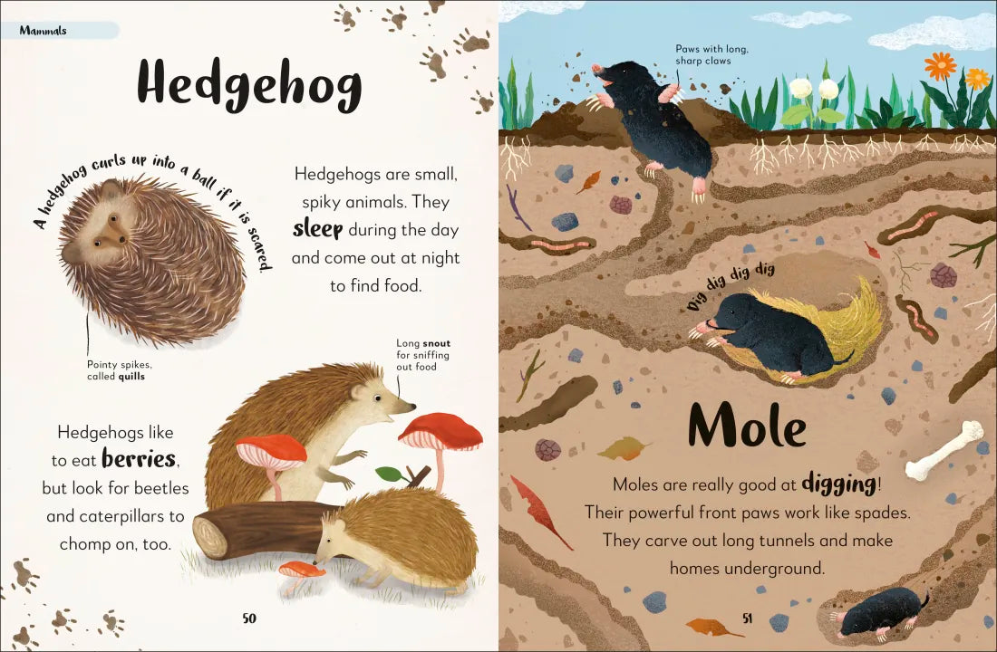 The Bedtime Book of Animals US - Hardback