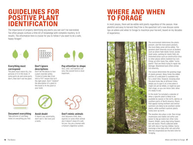 Foraging US - Paperback / softback