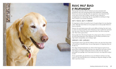 How to Train Your Dog US - Paperback / softback