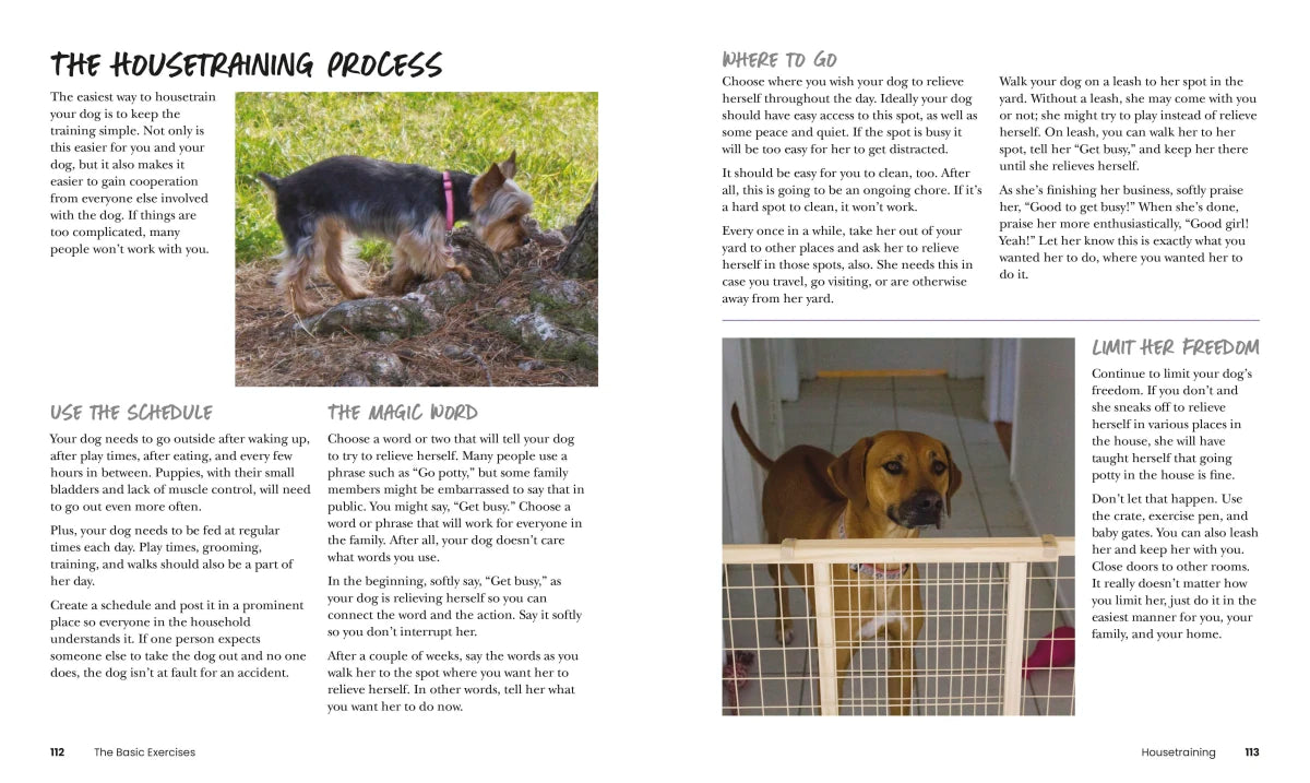 How to Train Your Dog US - Paperback / softback