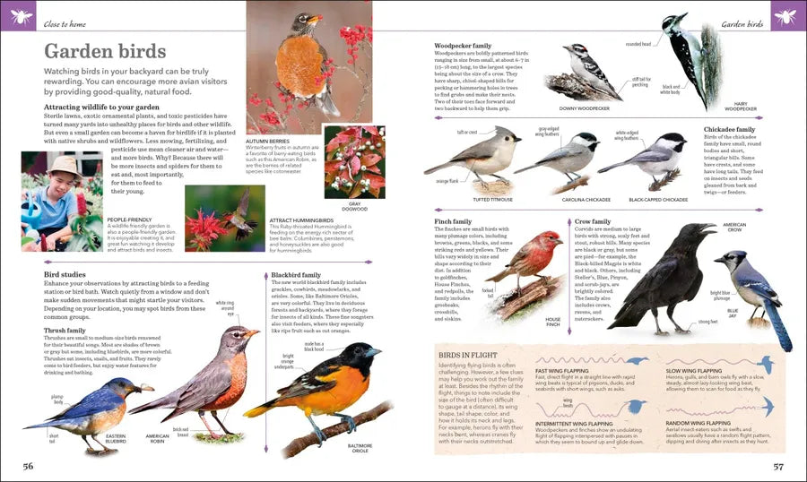 Nature Handbook US - Hardback