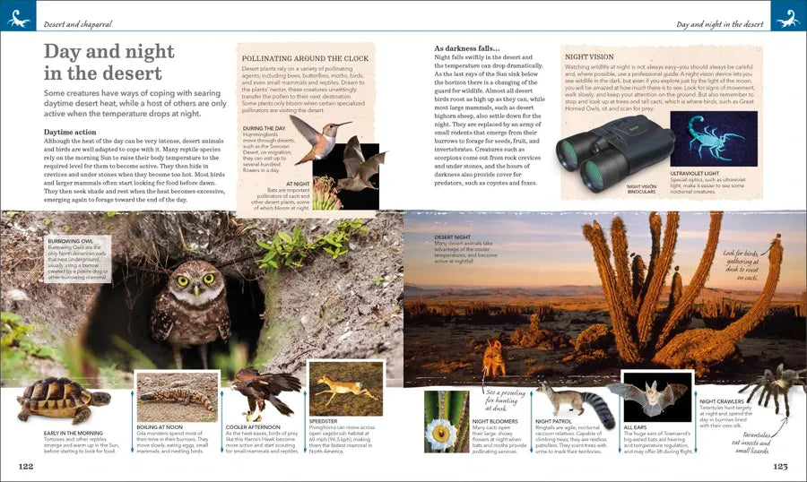 Nature Handbook US - Hardback