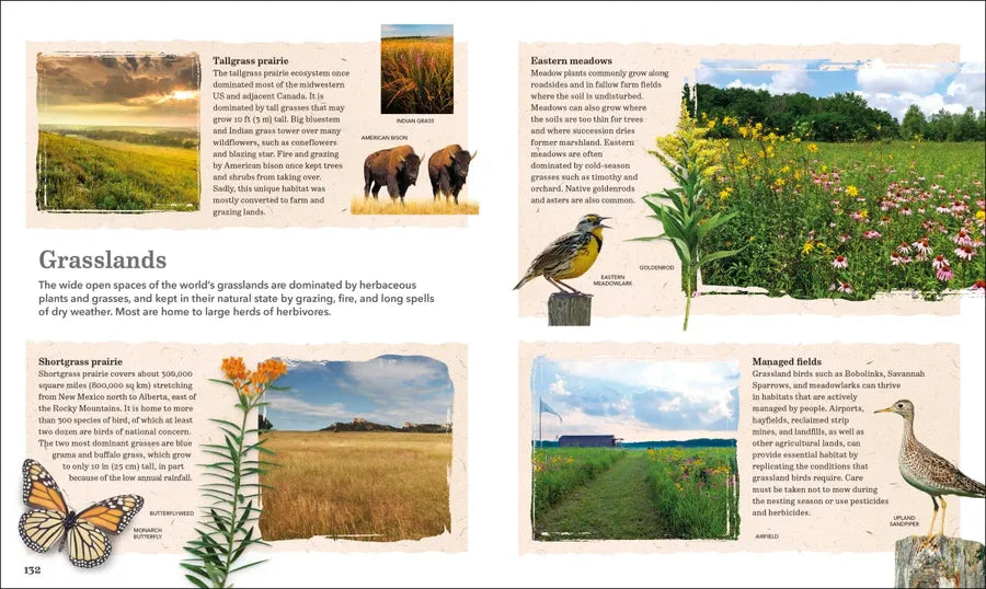 Nature Handbook US - Hardback