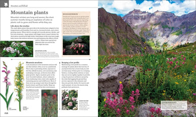 Nature Handbook US - Hardback