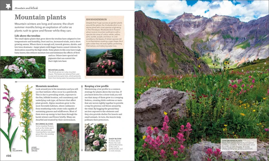 Nature Handbook US - Hardback