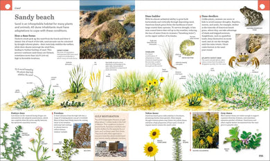 Nature Handbook US - Hardback
