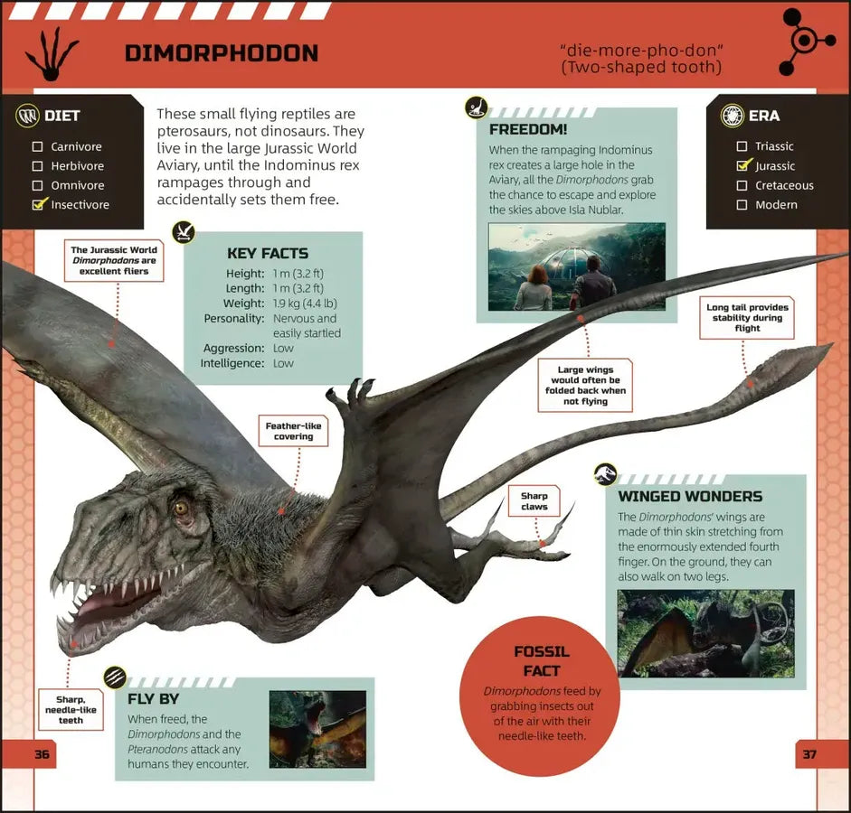 Jurassic World Pocket Expert US - Paperback / softback